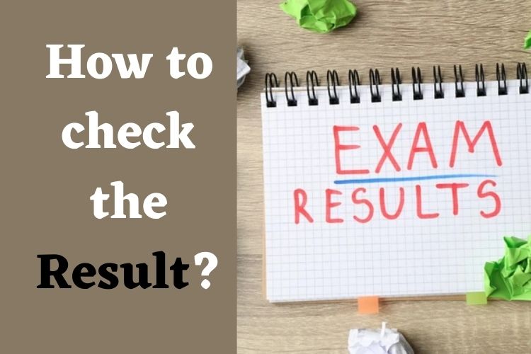 Chhattisgarh Board Releases Class 10, 12 Results, Check Now 
