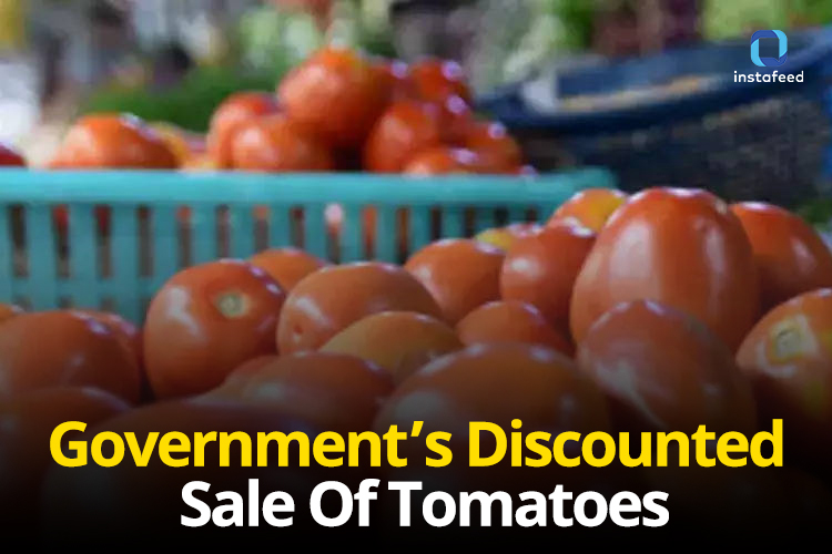 Discounted Tomatoes Bring Relief to Delhi NCR: Government's Initiative for Consumers