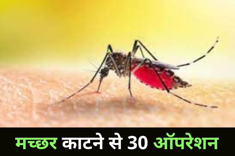 Mosquito Bite: मच्छर ने शख्स को बेरहमी से काटा, हुए 30 ऑपरेशन