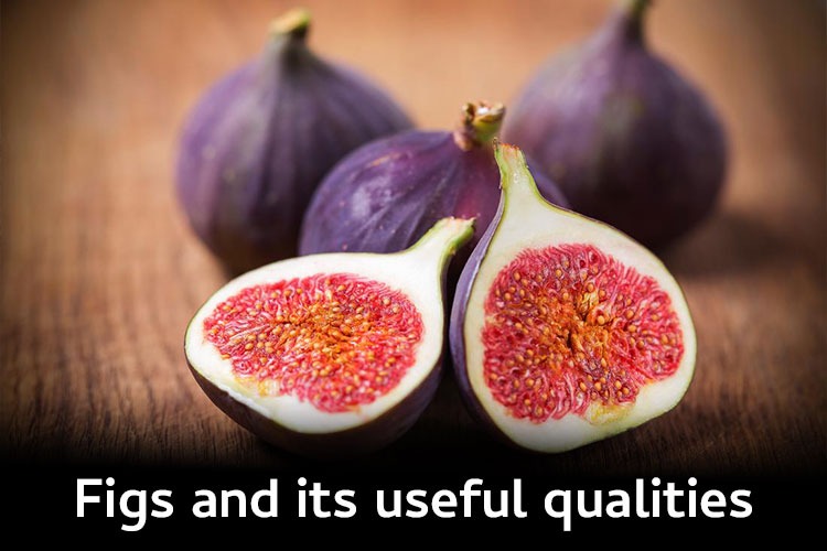 Fresh and dried figs' phenolic makeup, antioxidant potential, and other useful qualities