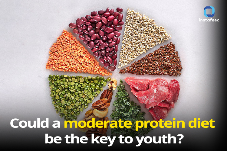 The Role of Protein in Aging: Moderation May Be the Key to Youthful Health