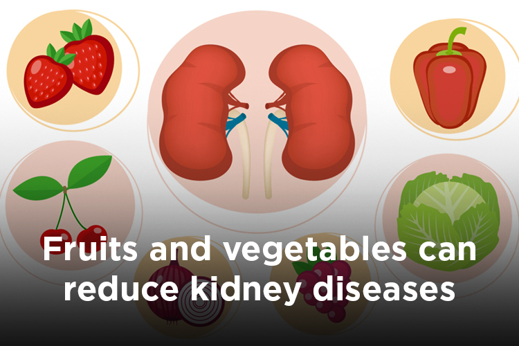 Consuming fruits and vegetables can help in reducing the risk of death from kidney diseases