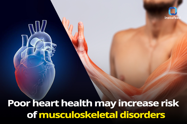 Link Between Cardiovascular Risk and Musculoskeletal Conditions: A Promising Connection