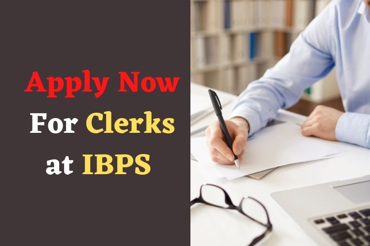 IBPS Invites Applications For 6,035 Clerk Vacancies, Apply Till July 21 