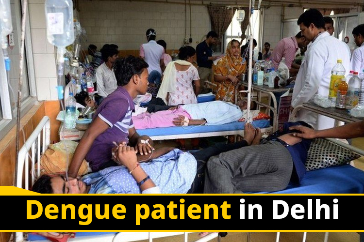 Upsurge of dengue cases in Delhi: 51 new cases recorded last week