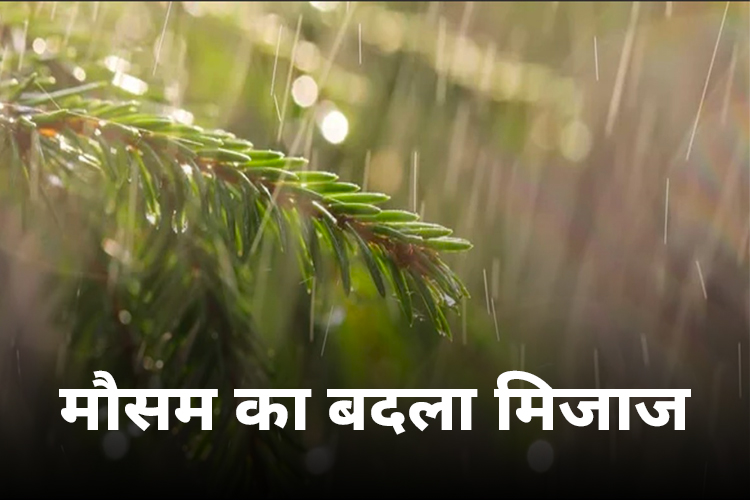 Weather Updates: दिल्ली-NCR में तेज होगी तेज बारिश, मौसम विभाग ने दी जानकारी