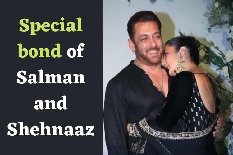 Shehnaaz Gill shares a Special Bond with Salman Khan, Hugs and Kisses at Arpita's Eid party 