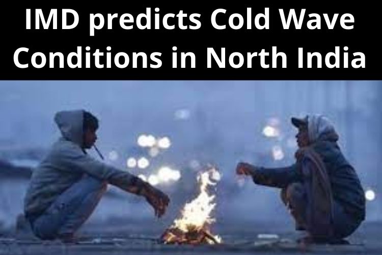 Weather Update: IMD predicts Cold Wave Conditions in North India 
