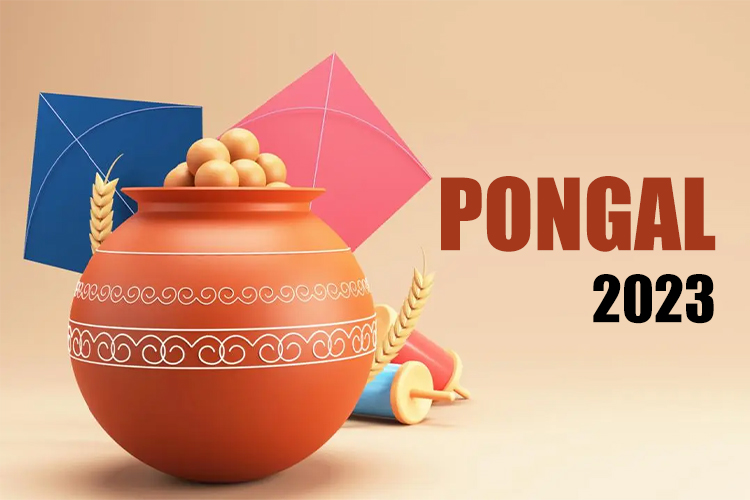 Pongal 2023: Tamil Nadu Schools closed till January 18 due to Pongal festival