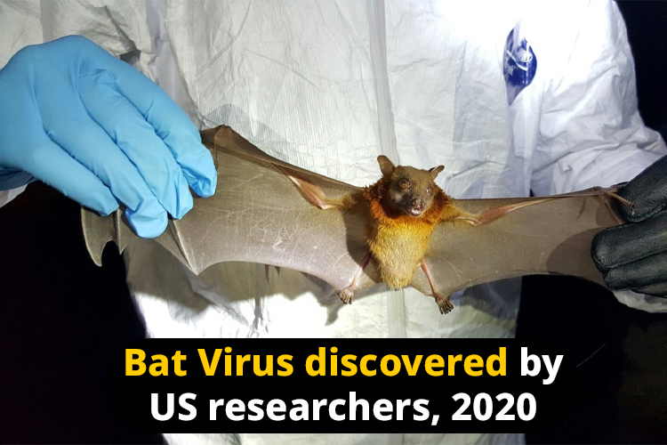 Covid-like VIRUS found in Russian BATS can INFECT humans