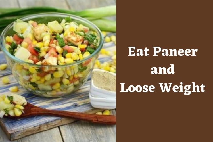 Try These Two Paneer Recipes In Your Weight Loss Journey 
