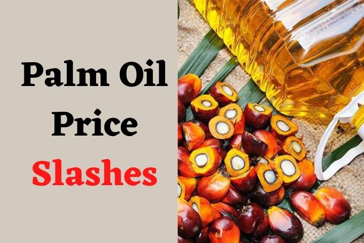 Edible Oils Gets Cheaper After Indonesia Lifts Export Ban 