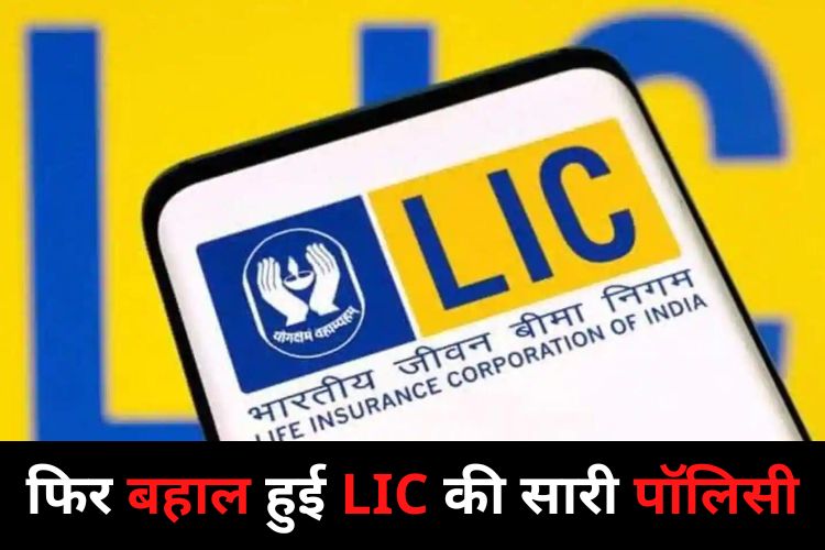 LIC Scheme: आम लोगों के लिए खुशखबरी, एलआईसी की सभी पॉलिसी फिर से लागू