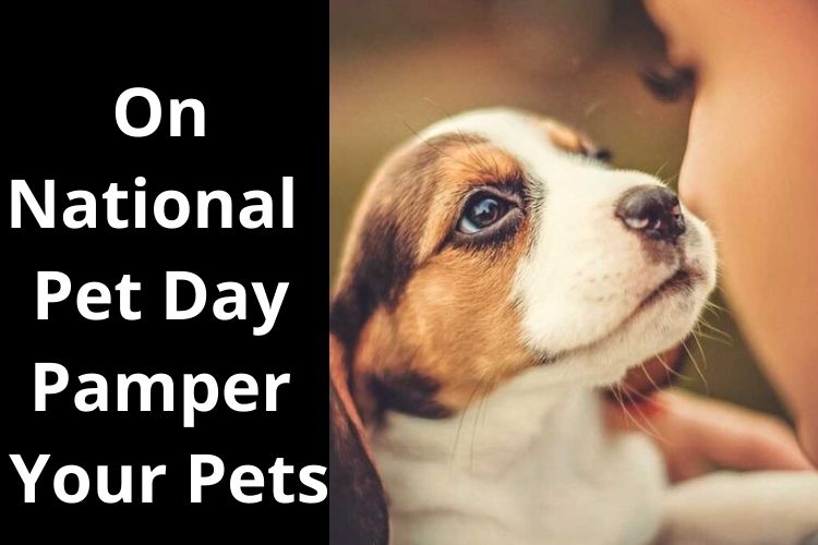 National Pet Day: The Significance, Date and History of the Day 