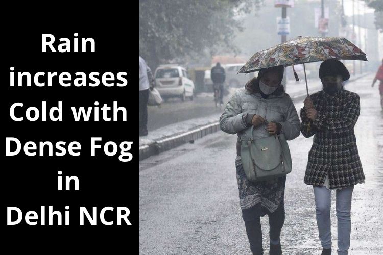 Weather Update: Rain increases Cold with Dense Fog in Delhi NCR 