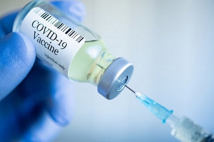 Brazil to suspend Covaxine vaccine deal 