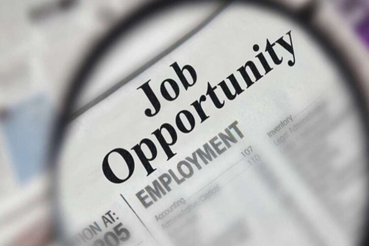 UPPCL Recruitment: Apply for 240 vacancies from Oct 8 