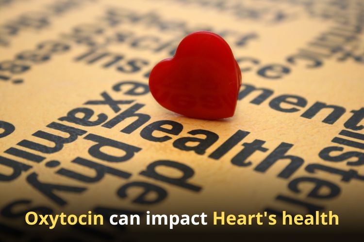 Is Love Hormone Responsible To Strengthen Heart Muscles? 