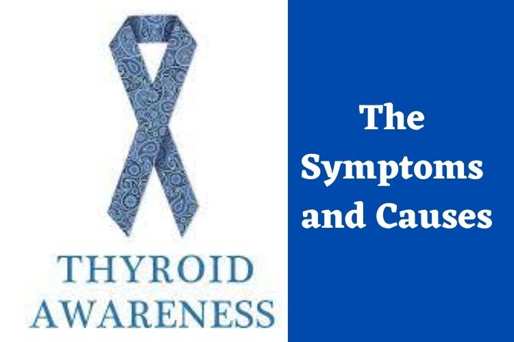 World Thyroid Awareness Day: Know About Thyroid Disorder And The Treatment 