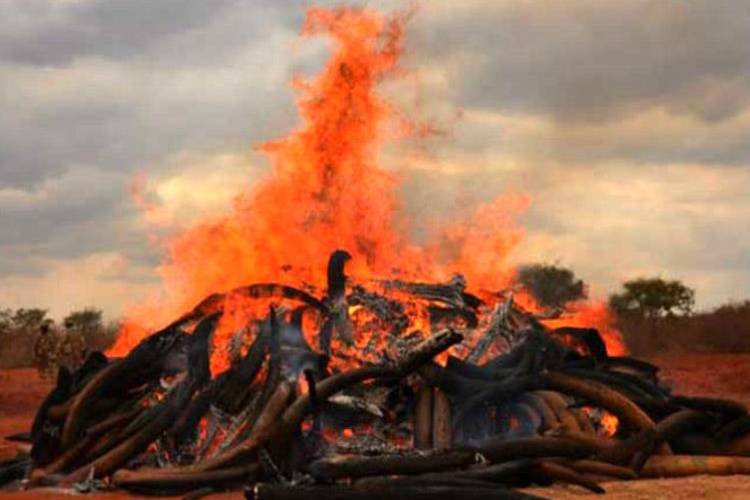 उन्नाव केस: दोनों लड़कियों का हुआ अंतिम संस्कार, जानिए इस मामले में अब तक क्या-क्या हुआ