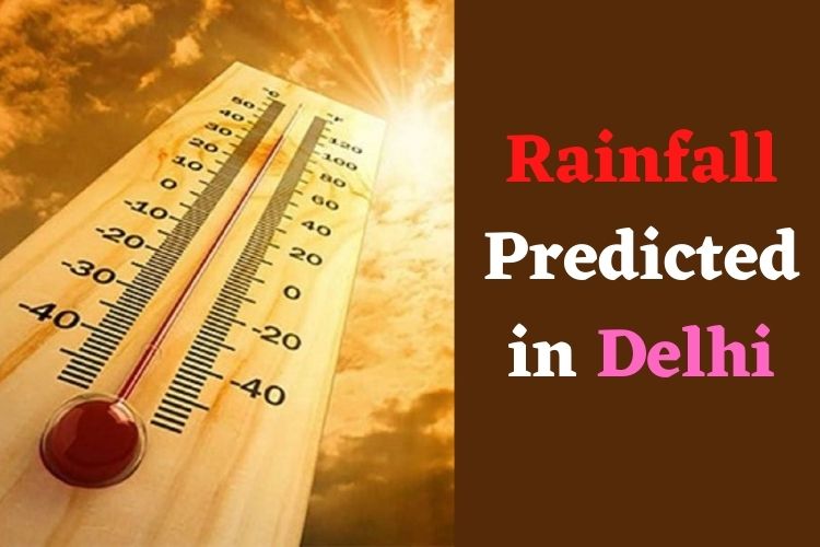 Weather Update: IMD Issues Yellow Alert For Heatwave in Delhi, Relief by Weekend 