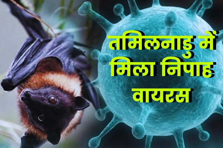 Nipah Virus: केरल के बाद तमिलनाडु में मिला निपाह वायरस का मरीज, सरकार ने जारी की एडवाइजरी