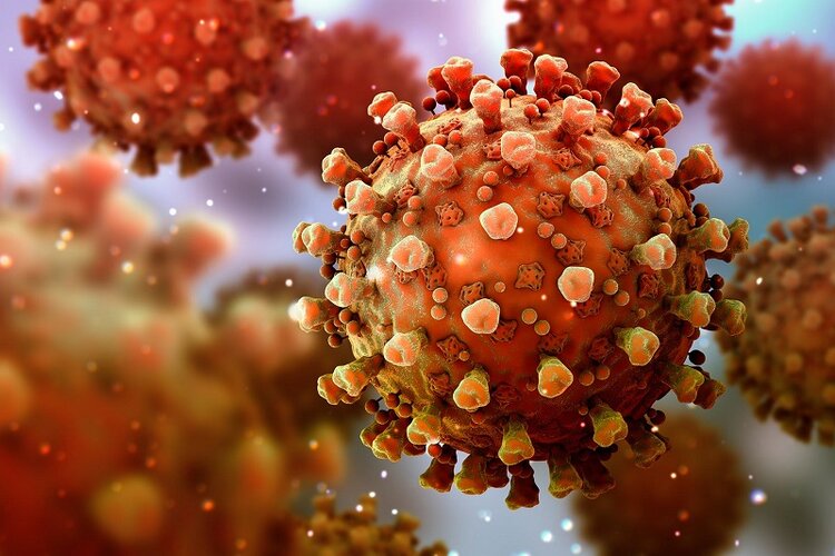 Covid Updates: India reports 10,126 fresh cases 