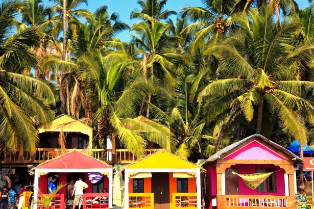 When visiting Goa, don't miss out on these 5 local markets for shopping