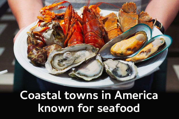 Exploring America's Coastal Gems: 5 Charming Towns for Seafood Delights