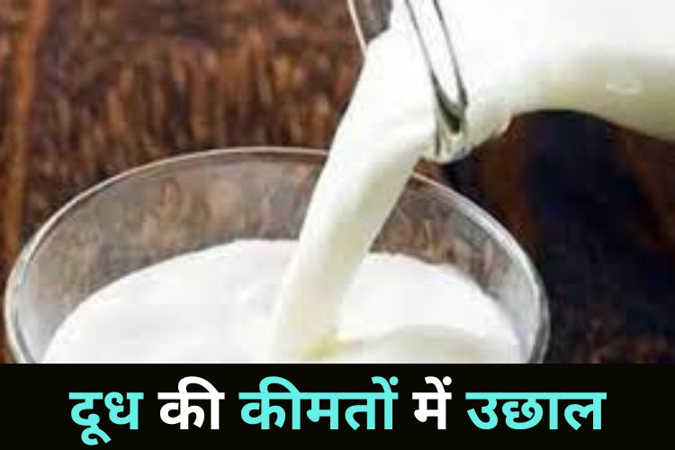 Milk Price Hike: फिर से बढ़ सकती है दूध की कीमत, जानिए क्या है नया अपडेट