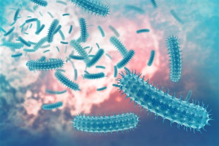 New technology offers treatment against Drug-Resistant Bacteria in under a week