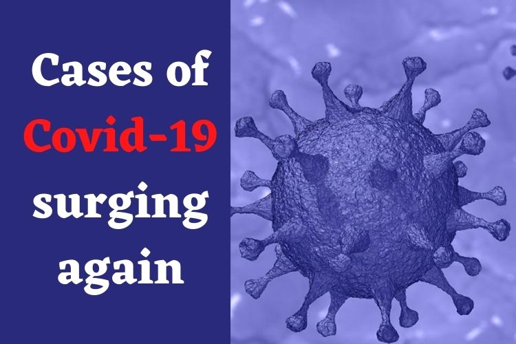 Covid Updates: India logs 3,805 Fresh Cases, Delhi's Positivity Rate crosses 5% 