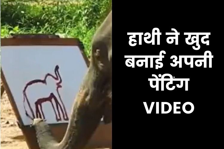 हाथी ने बनाई अपनी पेंटिंग, वायरल हुई वीडियो