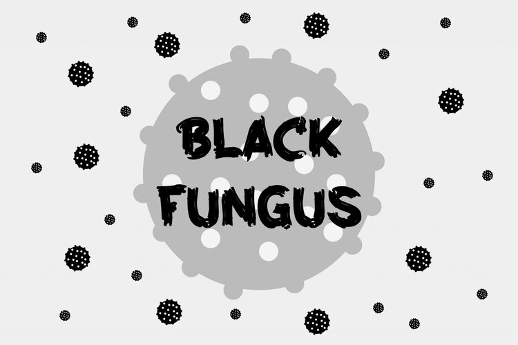 Black Fungus: 26 राज्‍यों तक पहुंचा ब्‍लैक फंगस, परेशान है पूरा देश