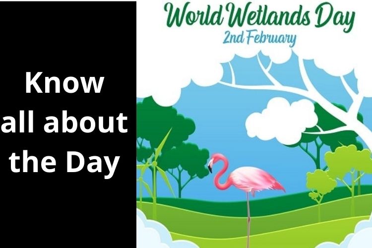 World Wetlands Day: Know the History, Significance and Theme of the Day 