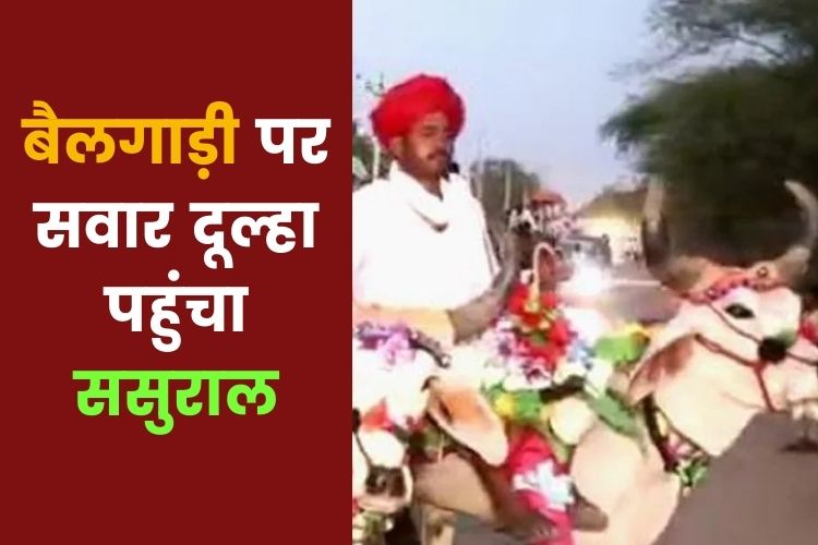 Rajasthan: बैलगाड़ी पर सवार होकर दुल्हनिया लेने पहुंचा दूल्हा, देखने को लोगों की उमड़ी भीड़