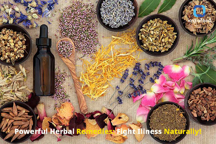 Harnessing the Healing Power of Herbs: Natural Remedies for Fever, Cold, and Cough