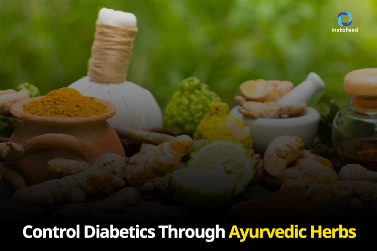 Harnessing the Power of Ayurvedic Herbs: Natural Approaches to Blood Sugar Control