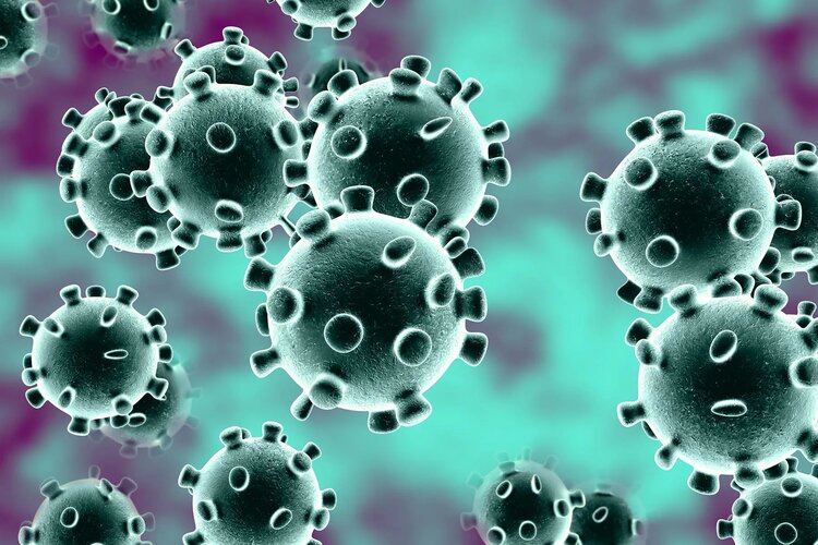 Coronavirus updates: India records 50,848 fresh cases