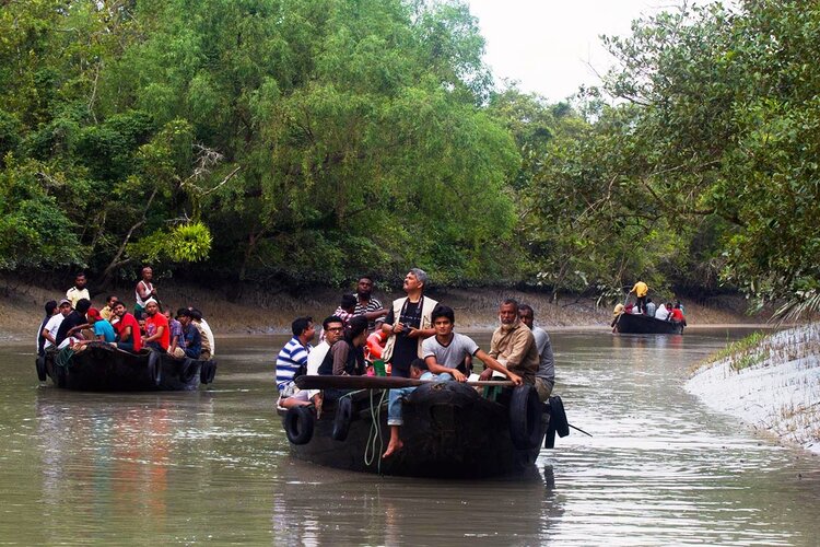 Sundarbans National Park to reopen for visitors from Oct 1 