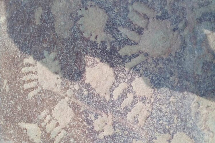 Environmental activist discovers Prehistoric Cave Paintings in Faridabad 