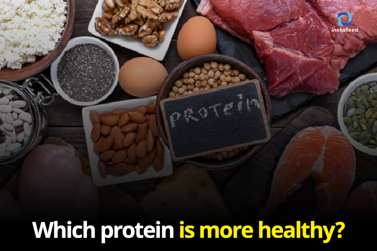 Choosing Wisely: Protein-Rich Foods vs. Protein Supplements for Optimal Health