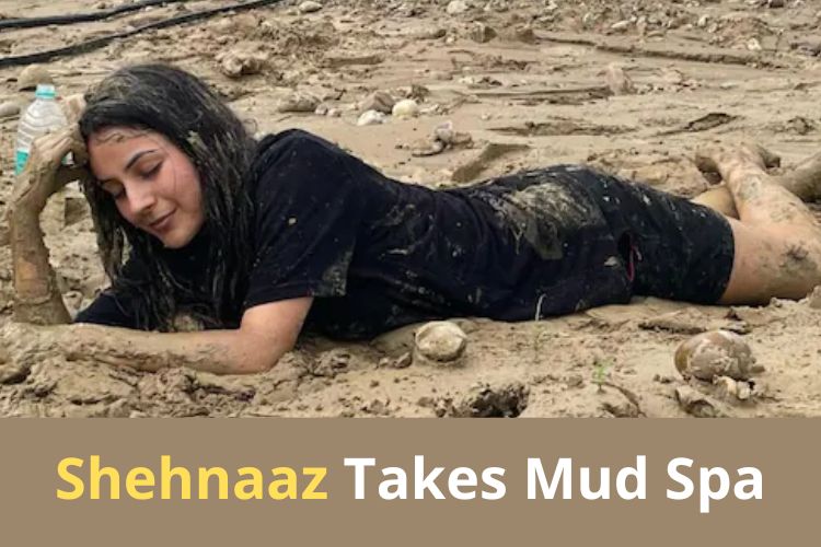 Shehnaaz Gill Enjoys 'Mud Spa' Session, Shares Pic on Social Media 