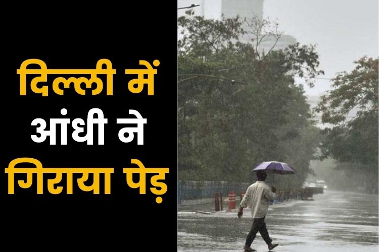 Weather: दिल्ली एनसीआर में तेज बारिश, सैकड़ों पेड़ गिरें