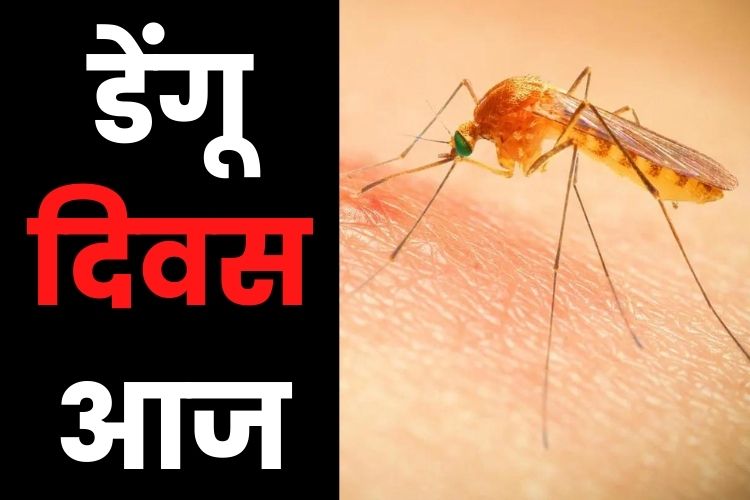 Dengue Day 2022: मच्छर का डंक बन सकता है खतरा, ऐसे करें बचाव