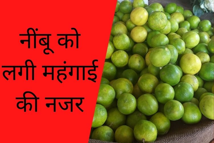 Lemon Price Hike: नींबू के दाम ने किया लोगों का मन खट्टा, इस वजह से बढ़े दाम