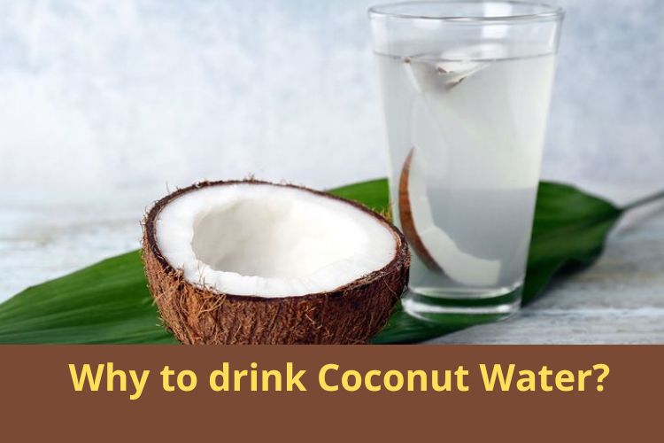 Rich in Minerals, Include Coconut Water for These Benefits 