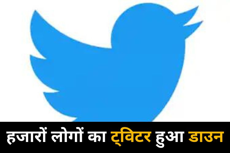 Tweeter Down: कानूनी लड़ाई के दौरान डाउन हुआ ट्विटर, यूजर्स को हुई परेशानी