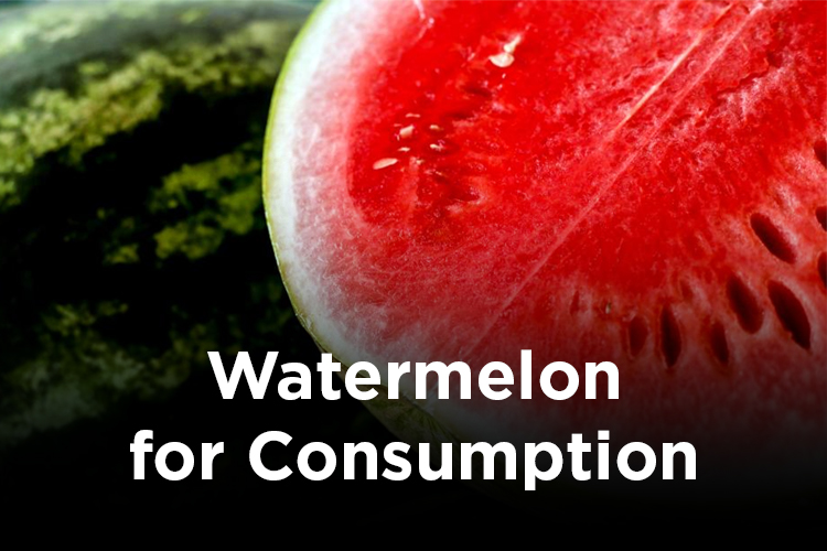 Regular Watermelon Consumption Improves Diet Quality