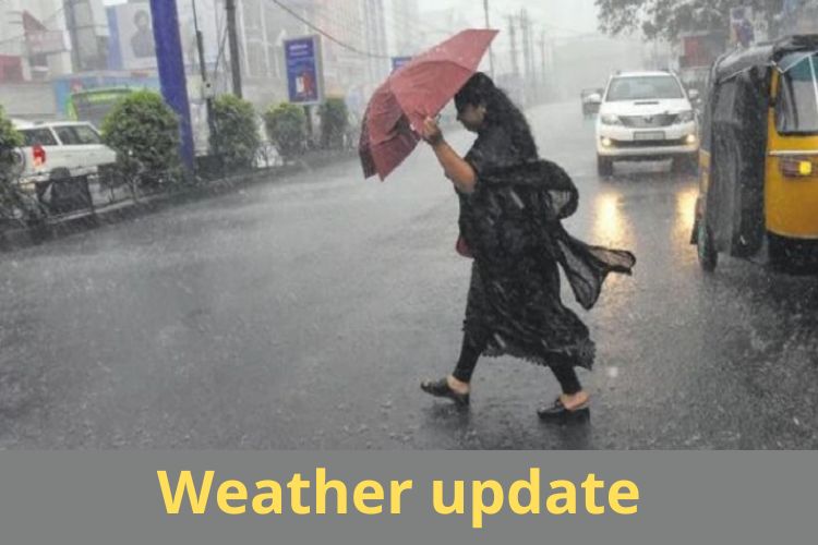 IMD Issues Alert For Heavy Rainfall In These Regions 